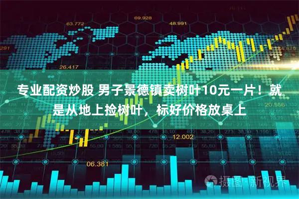 专业配资炒股 男子景德镇卖树叶10元一片！就是从地上捡树叶，标好价格放桌上