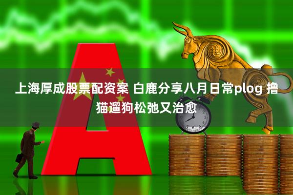 上海厚成股票配资案 白鹿分享八月日常plog 撸猫遛狗松弛又治愈